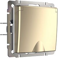 Розетка с заземлением без рамки Werkel 1-м. крышка шторки IP44 шампань металлик картинка